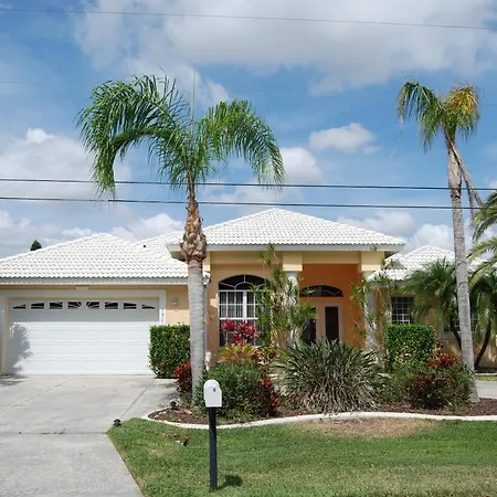 House Sunflower